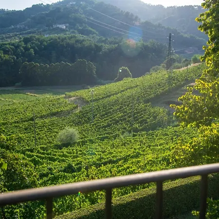 Rustic Elegance In The Heart Of Tuscany Villa