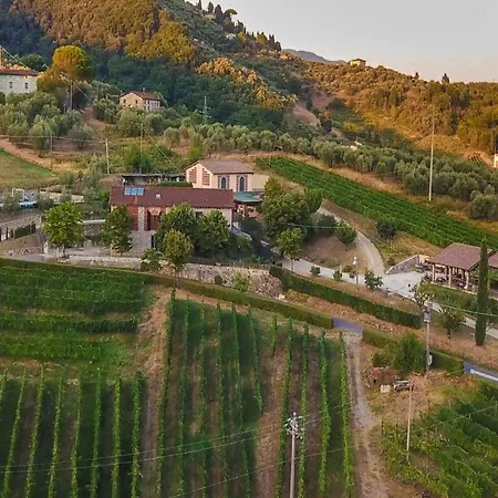 Rustic Elegance In The Heart Of Tuscany Lucca