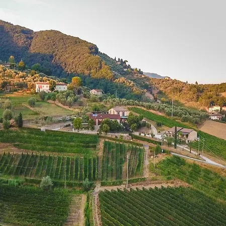 Villa Rustic Elegance In The Heart Of Tuscany